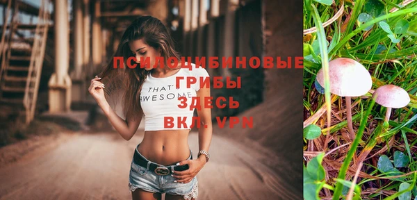 соль курить ск Абаза