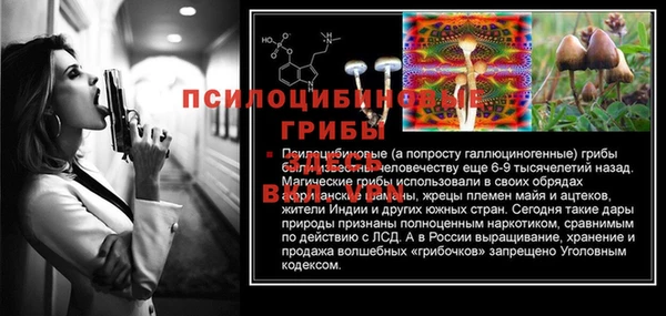 MESCALINE Алзамай