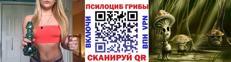 Галлюциногенные грибы Magic Shrooms Вологда
