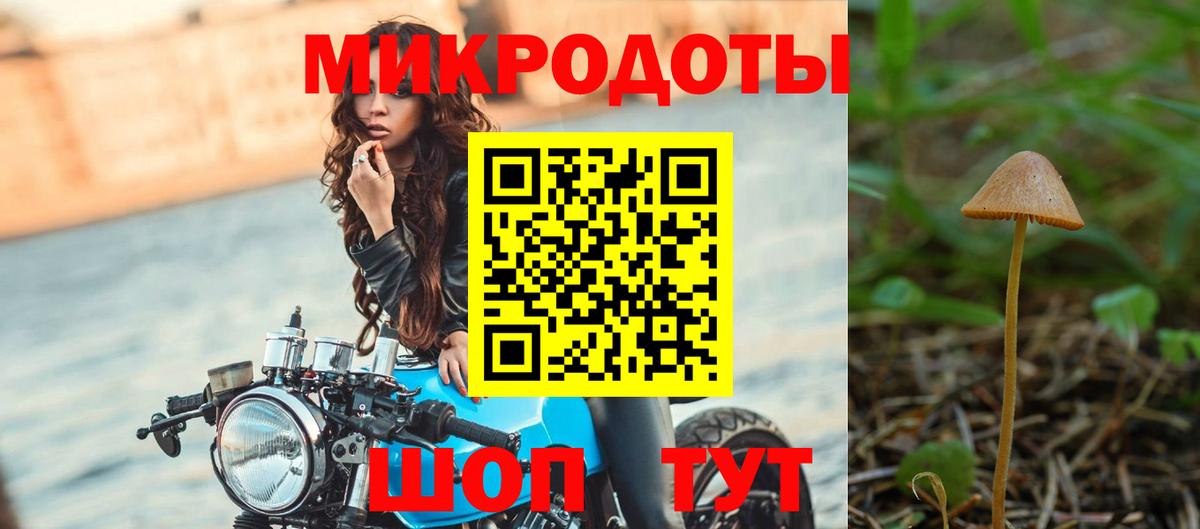 Псилоцибиновые грибы Cubensis  Вход с VPN  Вологда 